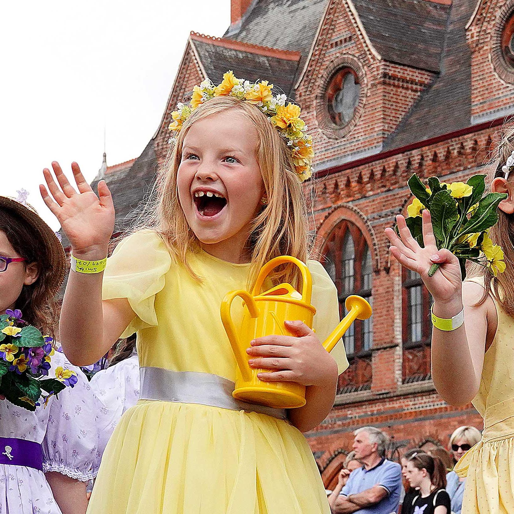 The best place for hedgehog news